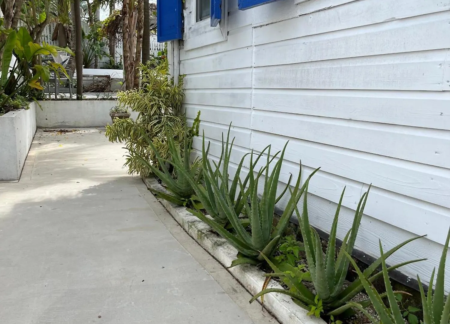 Downtown Nassau Oasis Unit 1 Apartment Bahamas